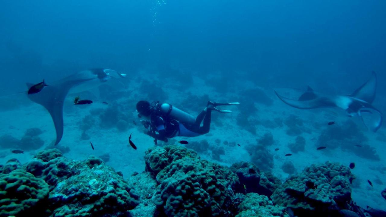 Hotel Rasreef Rasdhoo Maldives Zewnętrze zdjęcie