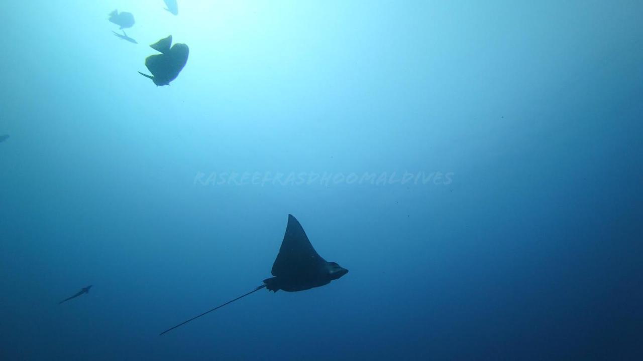 Hotel Rasreef Rasdhoo Maldives Zewnętrze zdjęcie