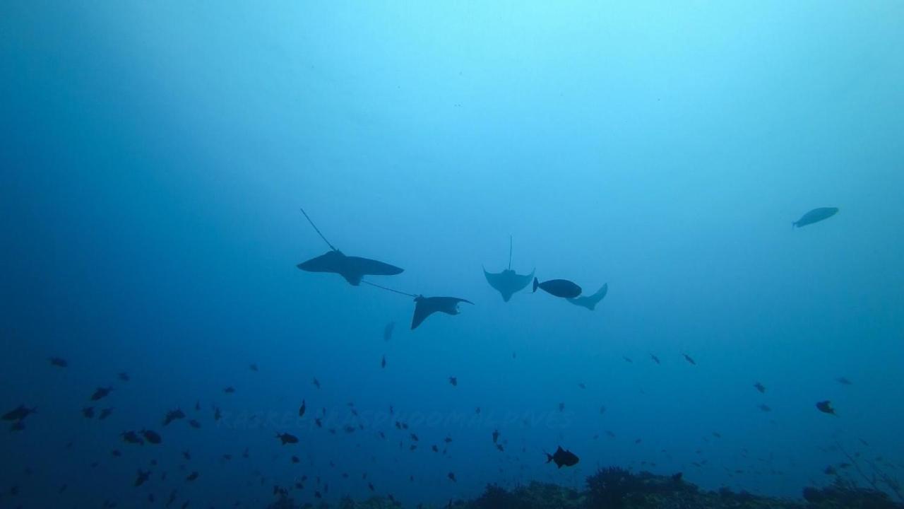 Hotel Rasreef Rasdhoo Maldives Zewnętrze zdjęcie