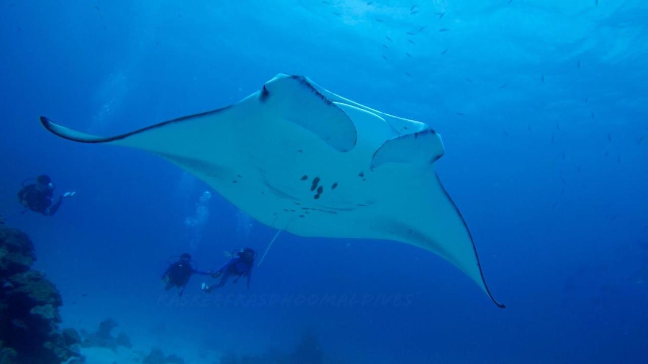 Hotel Rasreef Rasdhoo Maldives Zewnętrze zdjęcie
