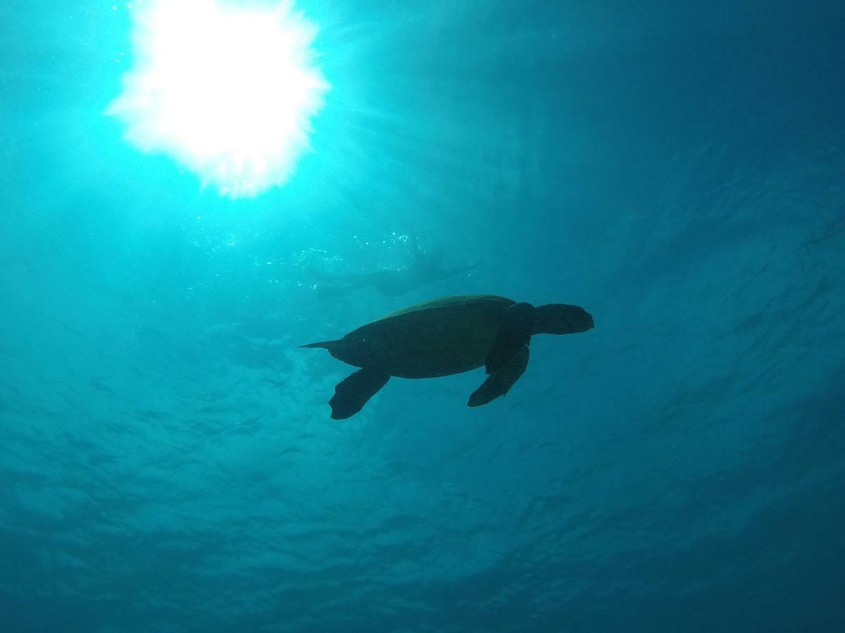 Hotel Rasreef Rasdhoo Maldives Zewnętrze zdjęcie