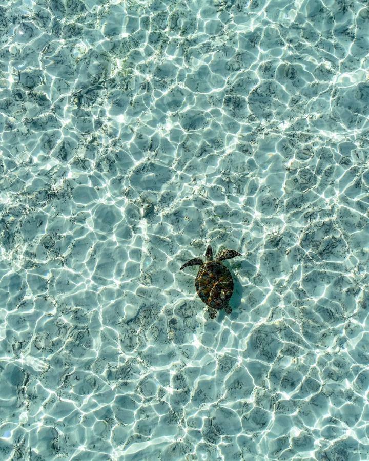 Hotel Rasreef Rasdhoo Maldives Zewnętrze zdjęcie